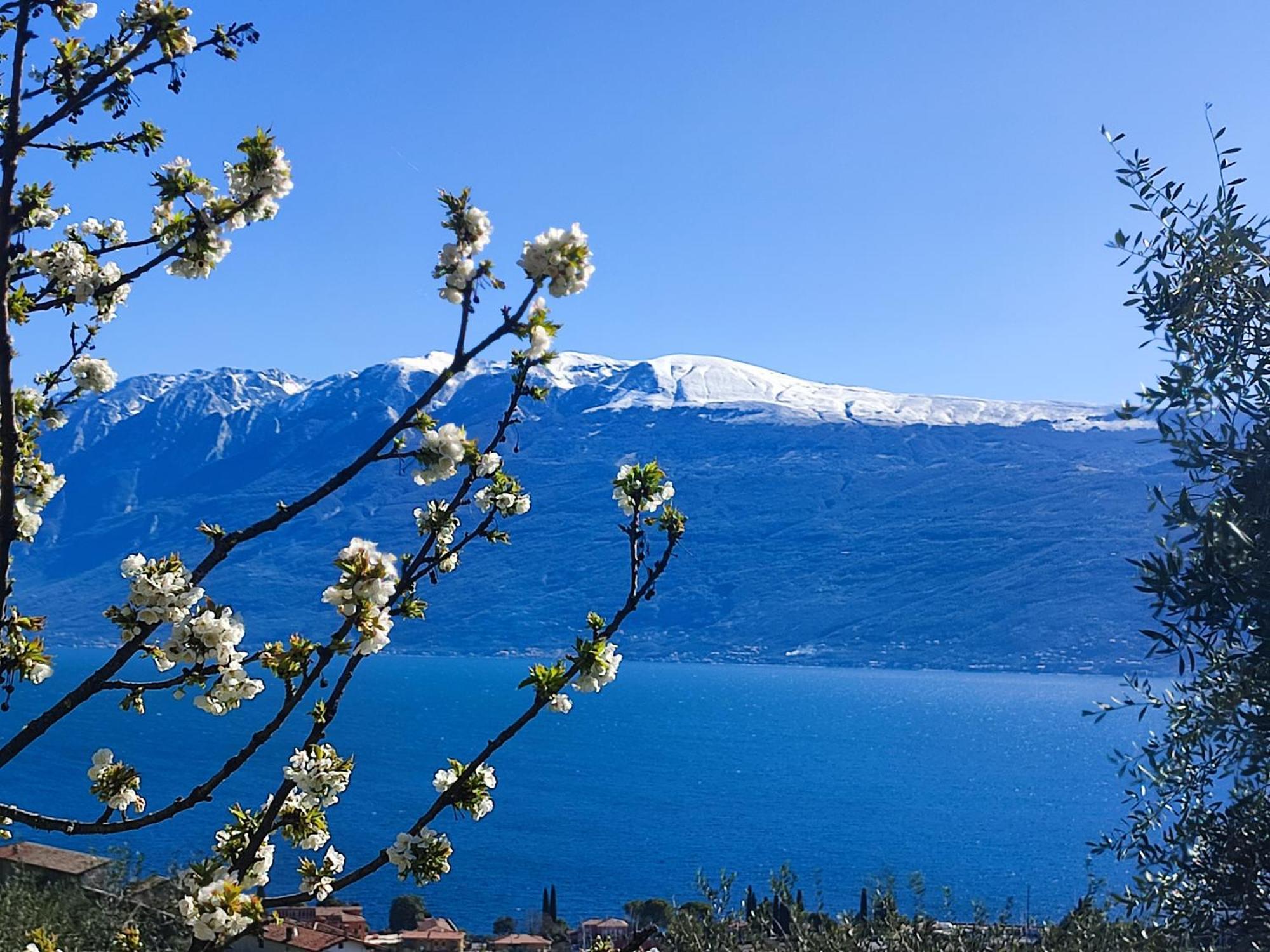 Agriturismo L'Uliveto Гарньяно Екстер'єр фото